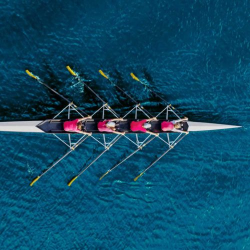 Sapien Global Services | Outsourced Finance Director Services. Showing A Row Boat Team.