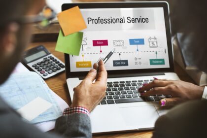 professional services